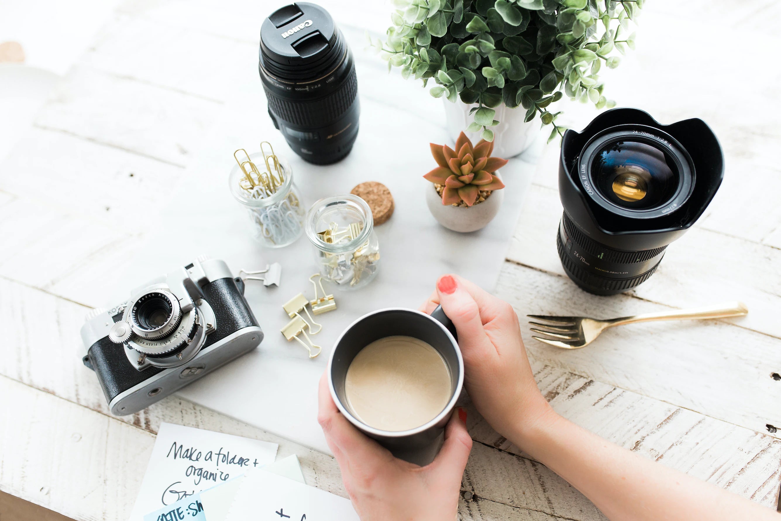 cameras coffee and plants on wooden table