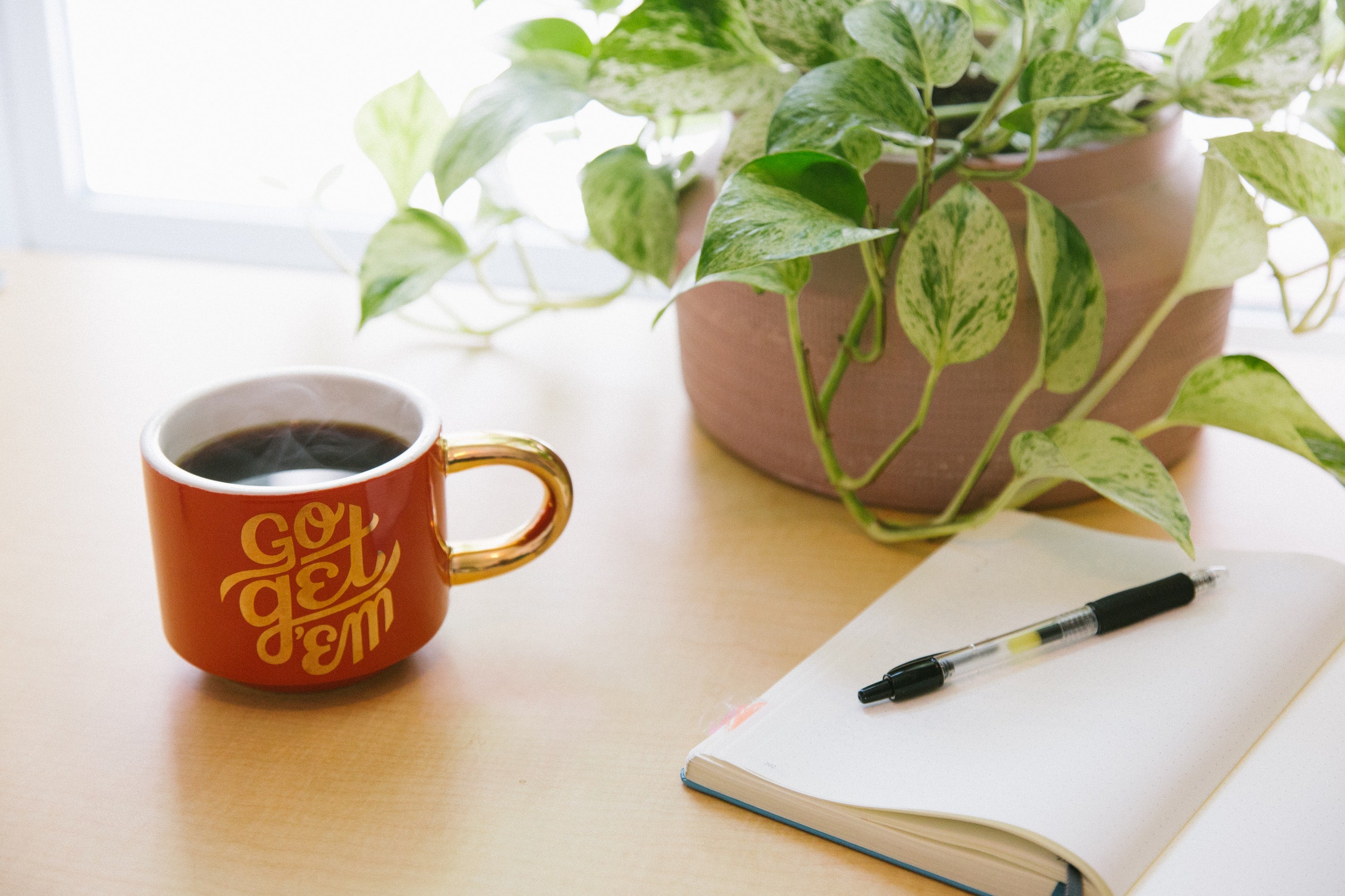 cup of coffee with journal, pen and plant on a table