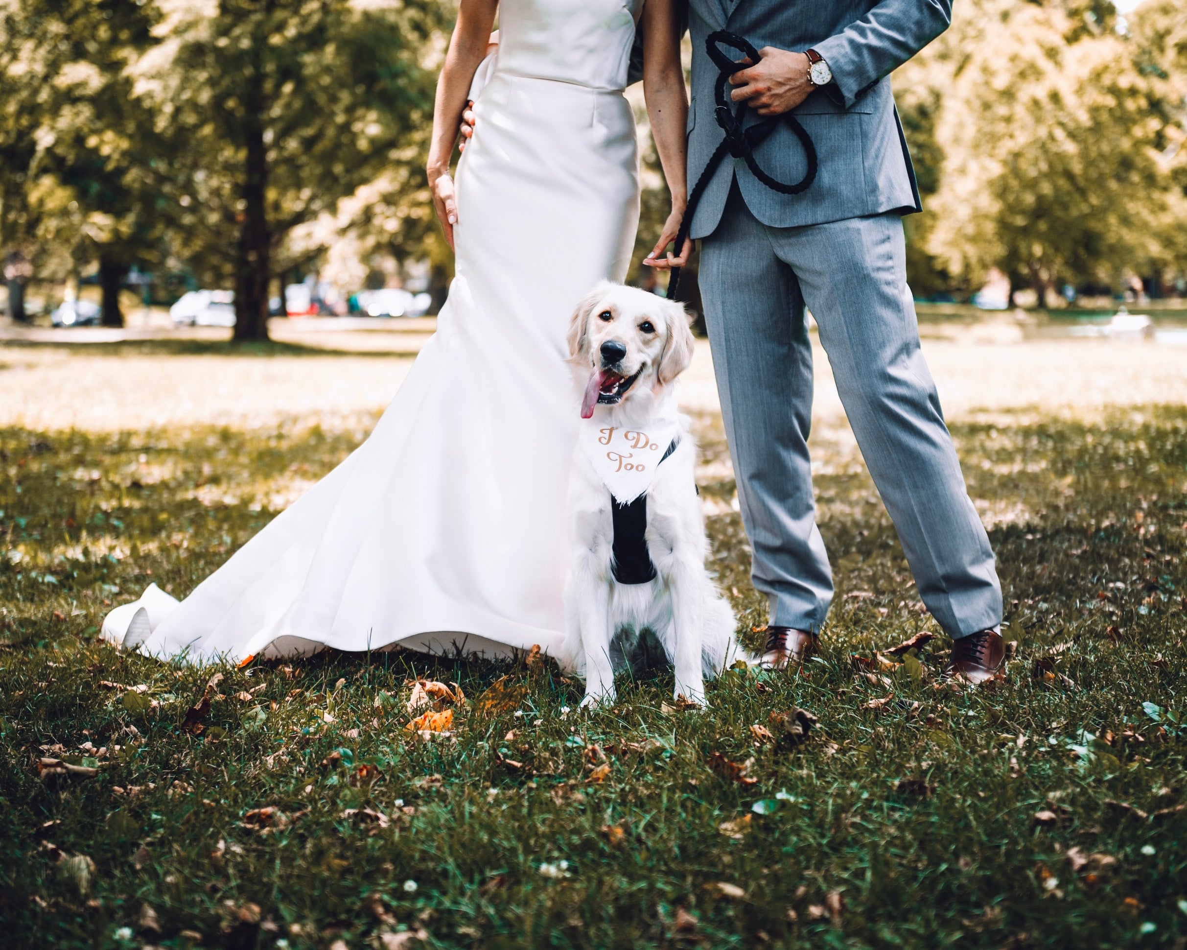 bride and groom on wedding day holding their puppy on a leash