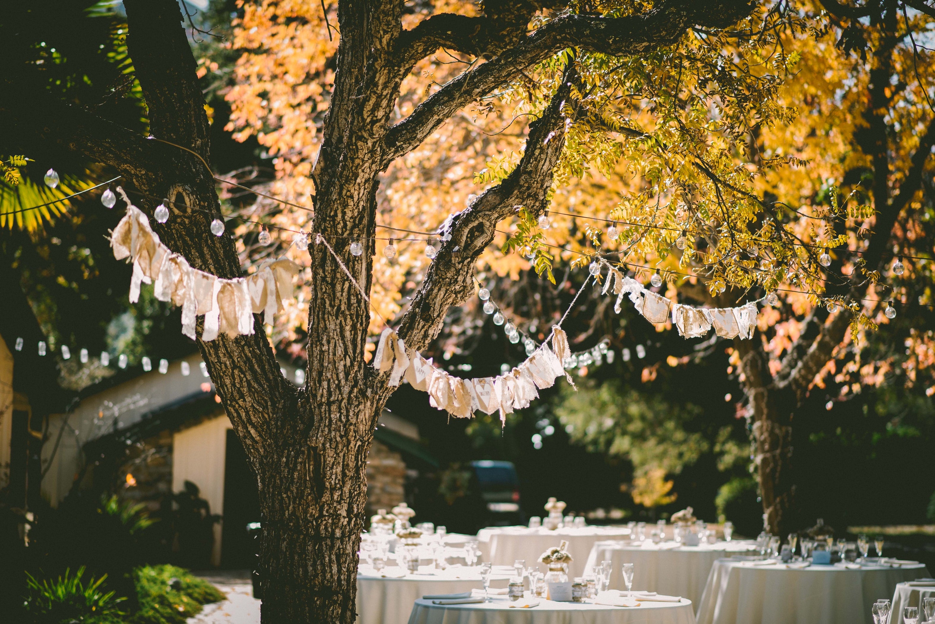 wedding reception venue with trees and tables