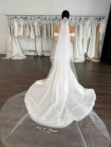 Save the Date Veil